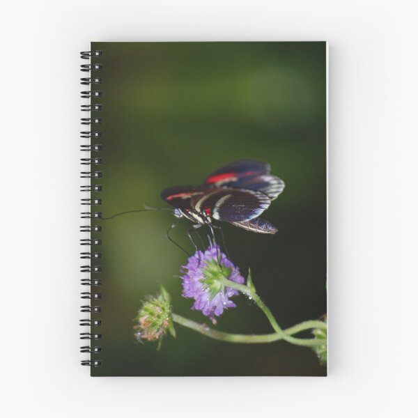 Item preview, Blur  designed and sold by Declan Carr.
