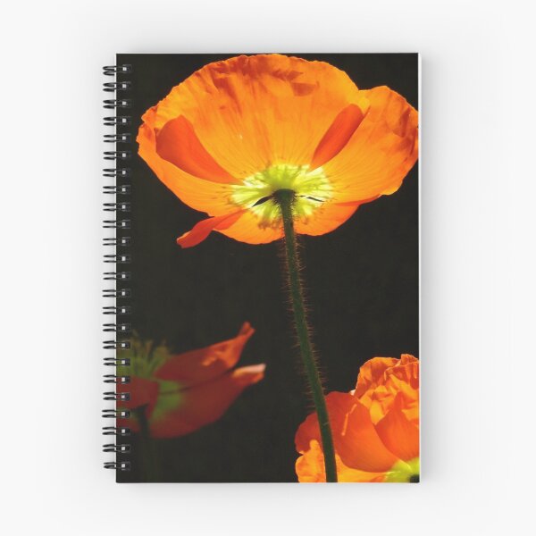 Item preview, Poppy so Bright! designed and sold by Gabrielle  Lees.