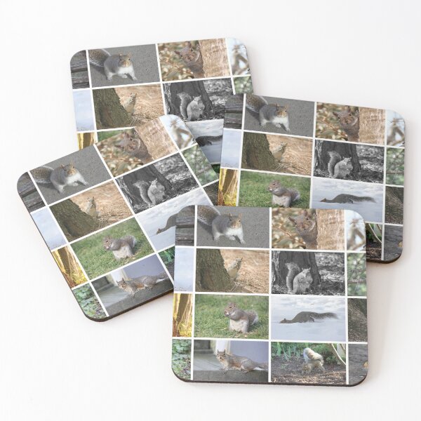 Item preview, Squirrels Squirrels Squirrels designed and sold by Autumn Seas Photography.