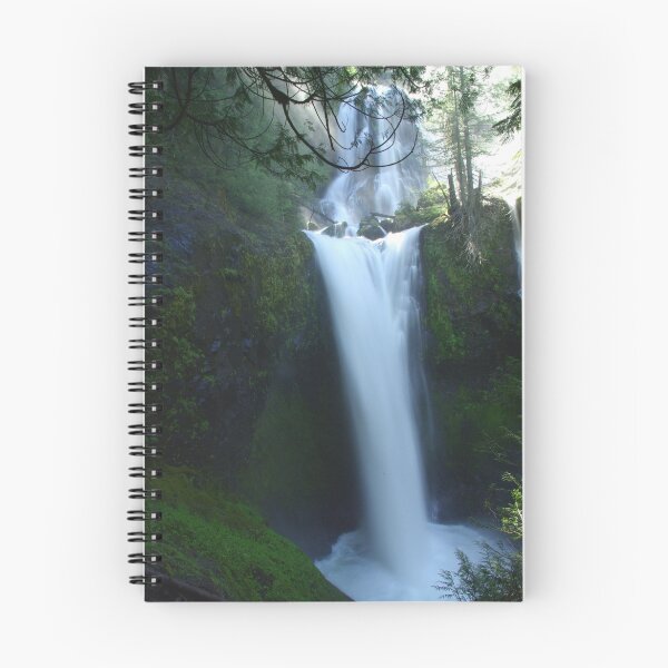 Artikelvorschau, Falls Creek Falls, Washington  entworfen und verkauft von dgsoregon.