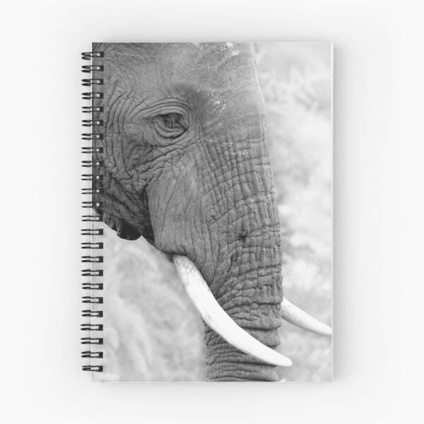Item preview, Gentle Giant designed and sold by Clive  Wilson.