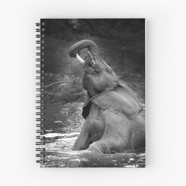 Item preview, Elephant bath time designed and sold by Clive  Wilson.