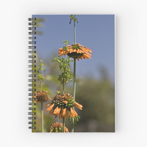 Item preview, summer annual designed and sold by zzsuzsa.