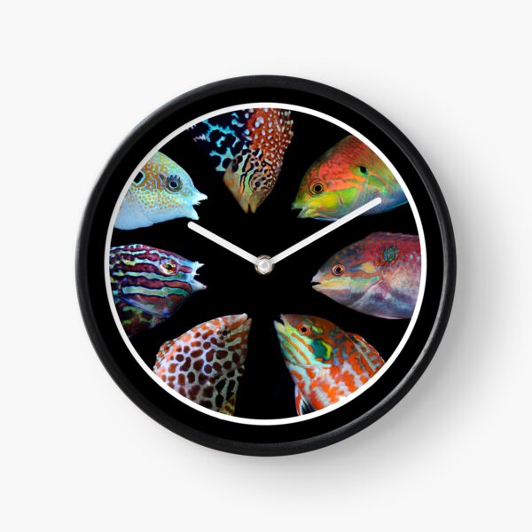 Macropharyngodon Clock