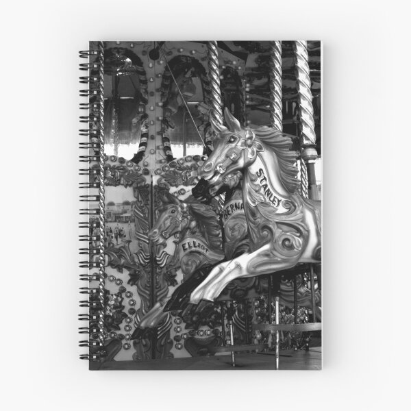 Item preview, Carousel in Black and White designed and sold by days-photographic.