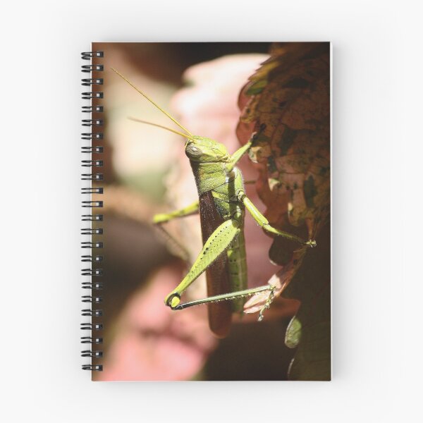 Item preview, Grasshopper designed and sold by Paulette1021.