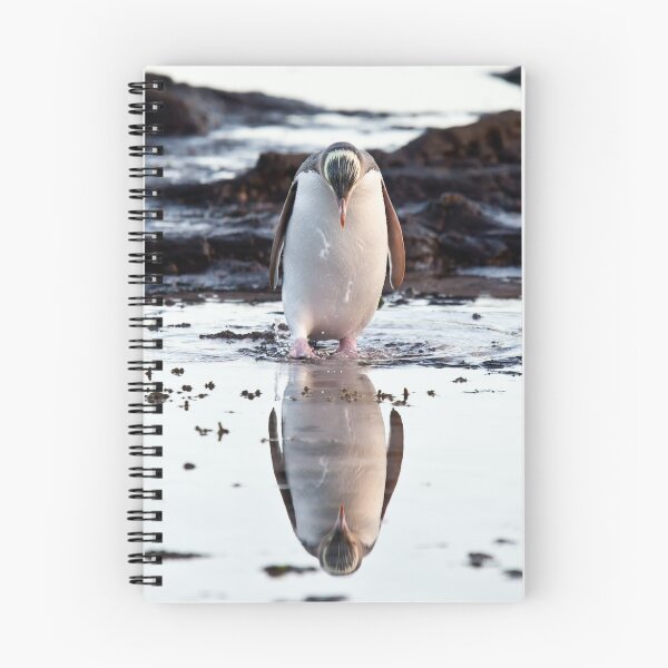 Item preview, Downcast Penguin - New Zealand designed and sold by Kimball Chen.