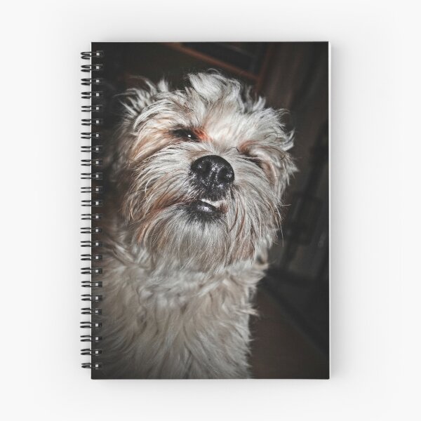 Item preview, Ugly designed and sold by Conor  O'Neill.