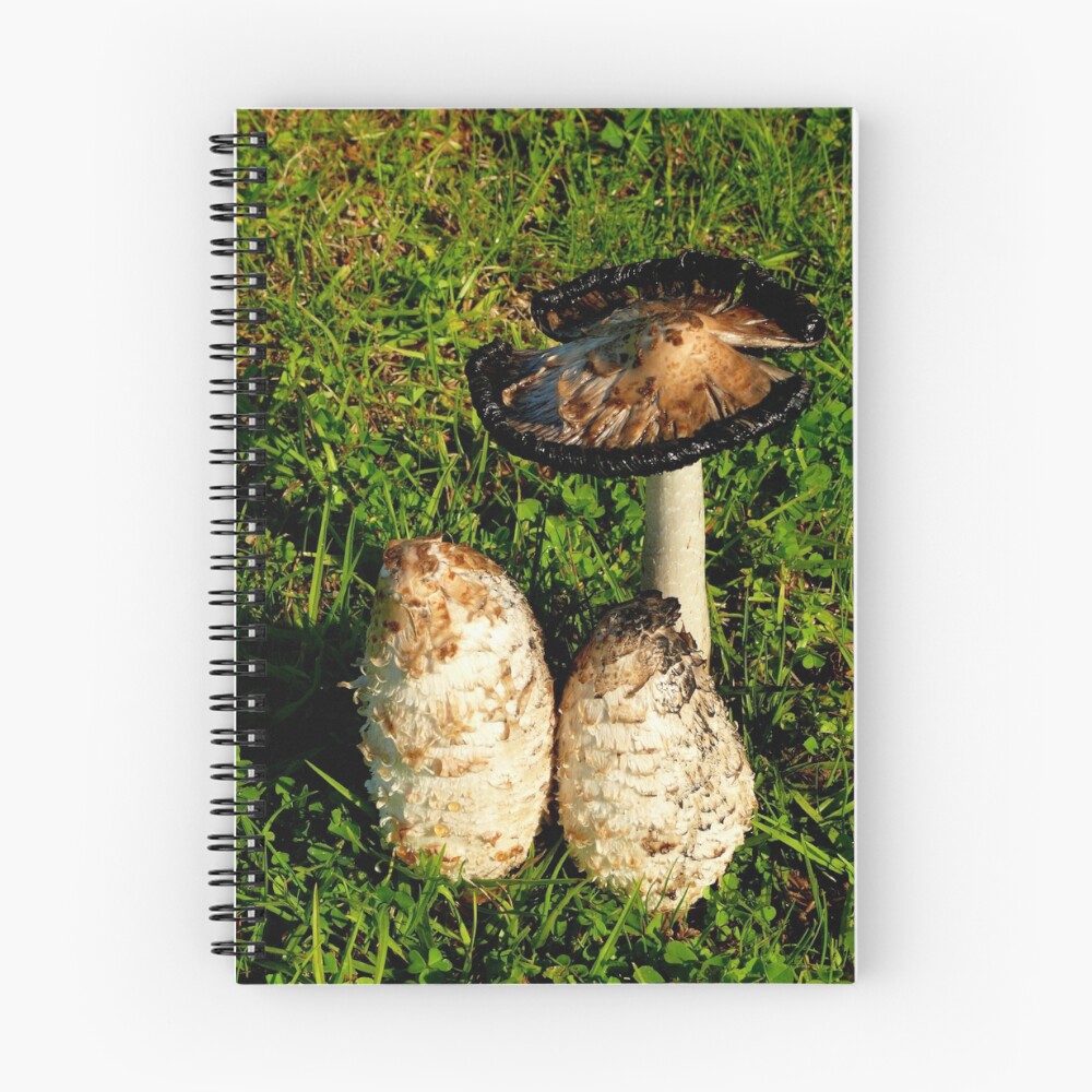Item preview, Spiral Notebook designed and sold by bobby1.