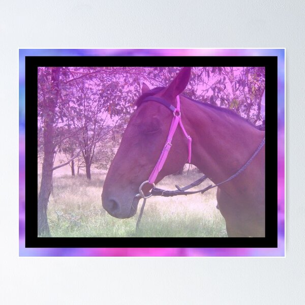 Missy's Pink Dream Poster