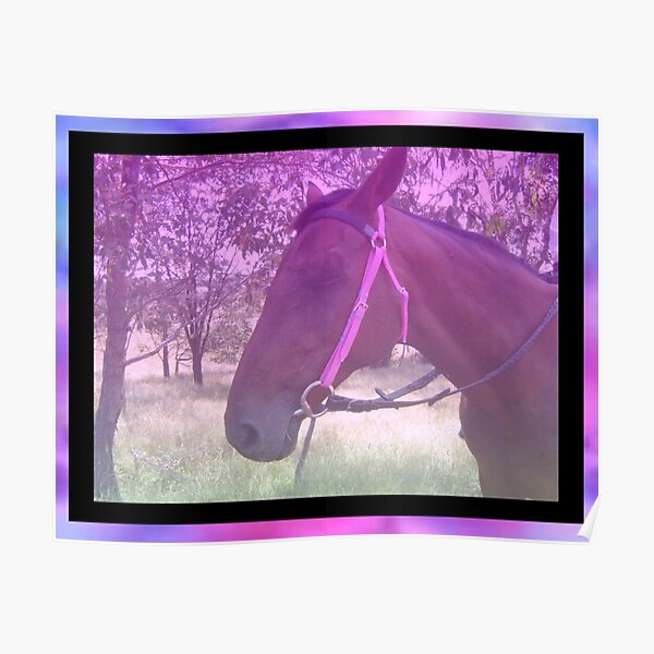 Missy's Pink Dream Poster