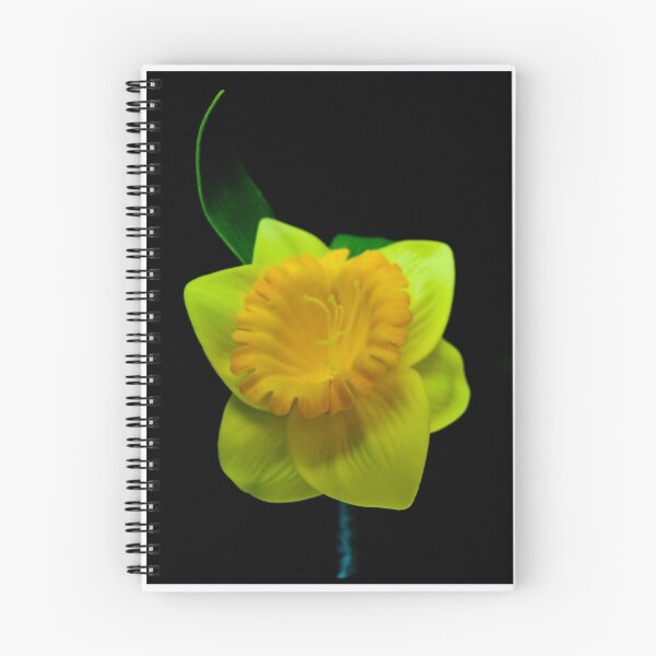 Item preview, Daffodil designed and sold by timtopping.