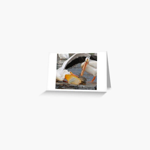 Nice One Greeting Card
