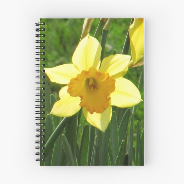 Item preview, Winter Colour - The Daffodil designed and sold by Sherene Clow.