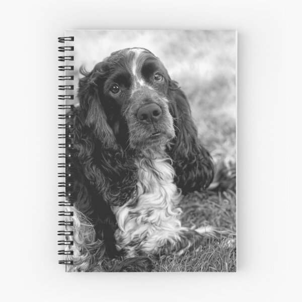 Item preview, My Boy designed and sold by Val Saxby.