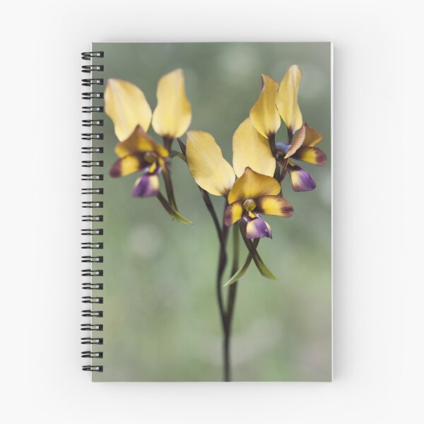 Item preview, pansy orchid designed and sold by col hellmuth.