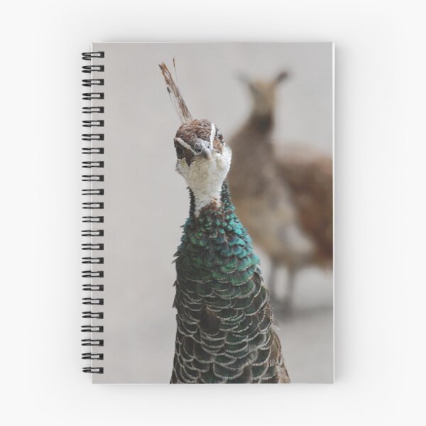 Item preview, Hello!!! designed and sold by Declan Carr.