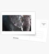 Elephant Postcards