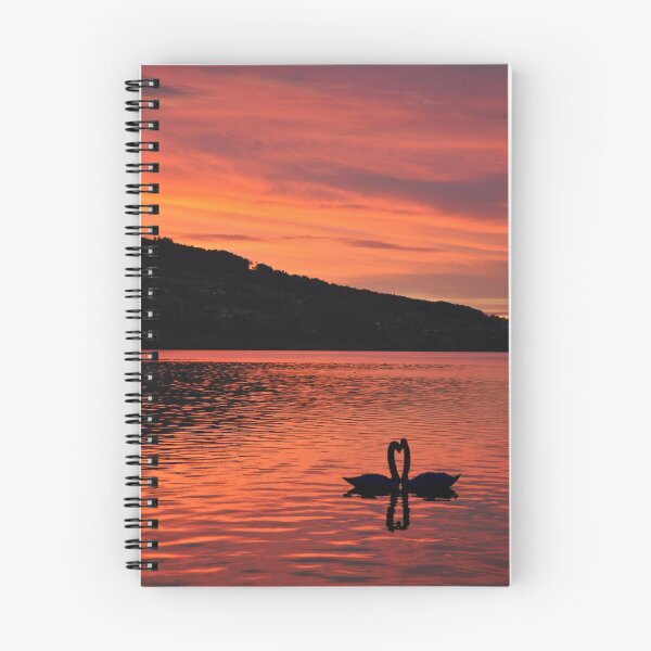 Artikelvorschau, Swans at Sunset entworfen und verkauft von Rosy Kueng Photography.