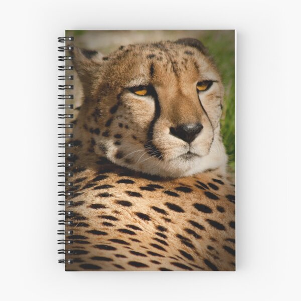Aperçu de l'œuvre guépard créée et vendue par GiftsOfNature.