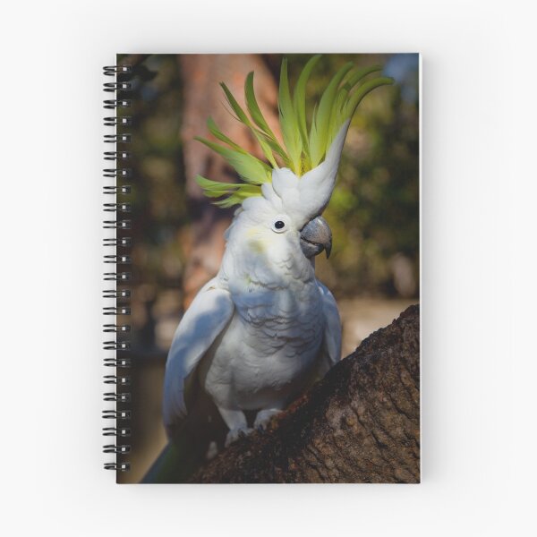 Item preview, Cheeky Sulphur Crested Cockatoo  designed and sold by GiftsOfNature.