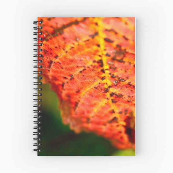 Artikelvorschau, Autumn entworfen und verkauft von pixel-cafe .de.
