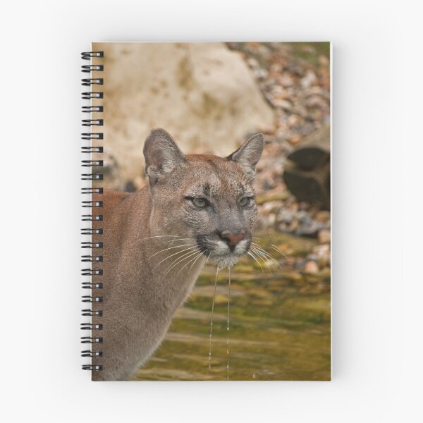 Artikelvorschau, Viktoria the Puma entworfen und verkauft von JMChown.