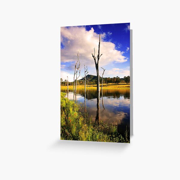 The Cove Greeting Card