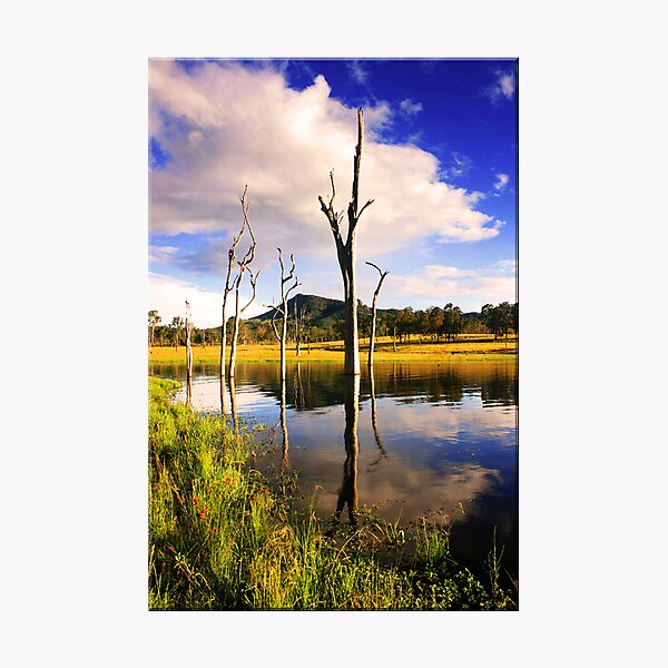 The Cove Photographic Print