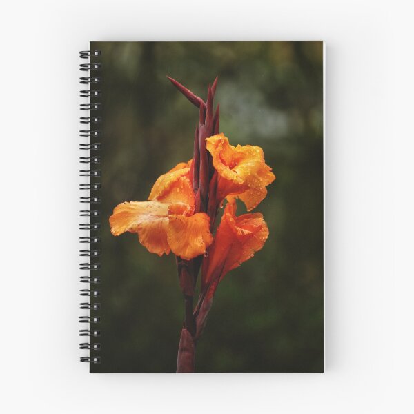 Item preview, Flower designed and sold by Mooguk.