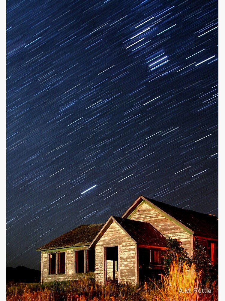 Orion Screaming Overhead - Star Trails by annruttle