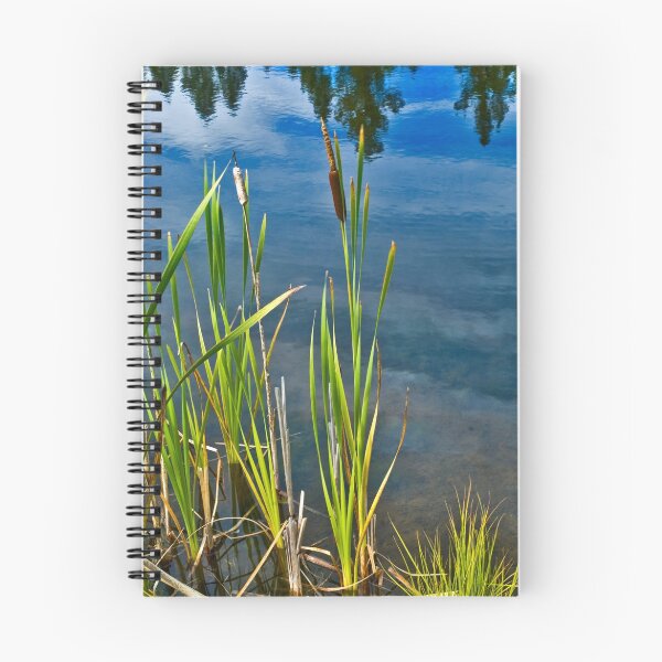 Item preview, Cattails designed and sold by Bryan Spellman.