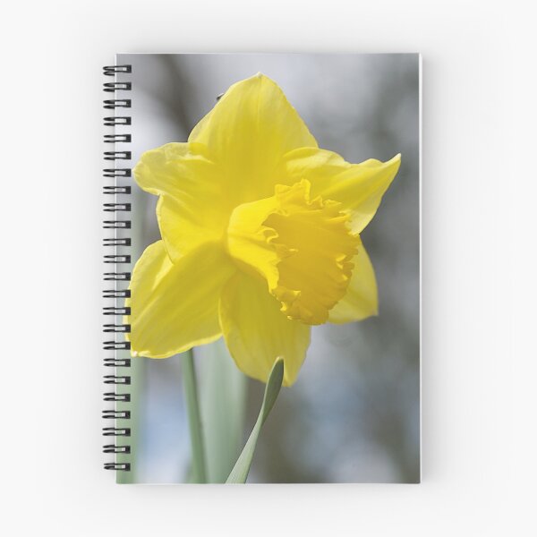 Item preview, Daffodils, Kyneton designed and sold by Michelle Thompson.