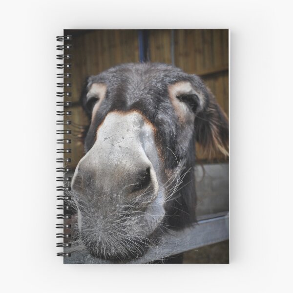 Item preview, Eeyore designed and sold by Mike Higgins.