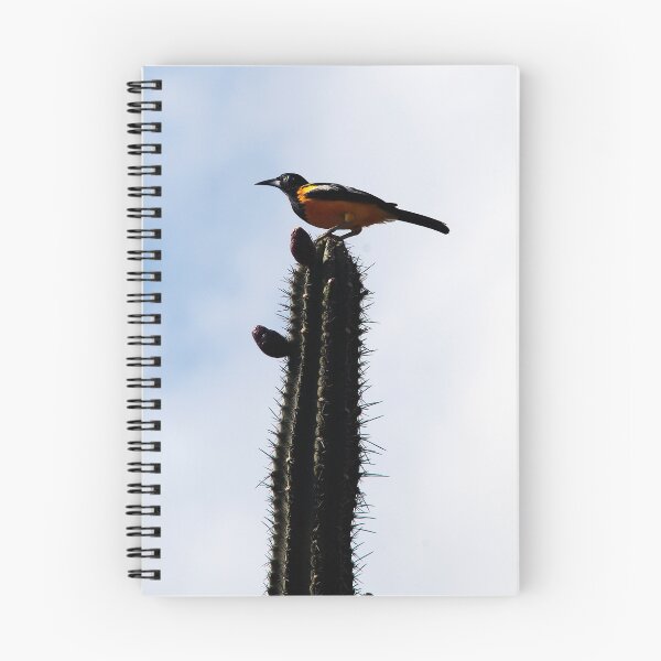 Item preview, Oriole and Cactus designed and sold by dcdigital.