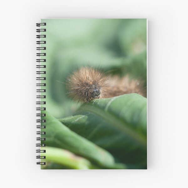 Item preview, Fuzzy Monster designed and sold by Simon Olewicz.