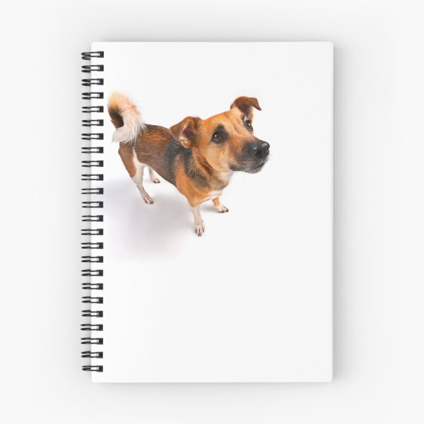 Item preview, Jack Russell designed and sold by Dan Shalloe.