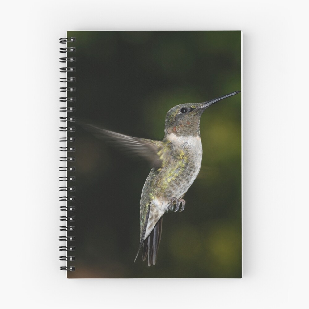 Item preview, Spiral Notebook designed and sold by CameraView.