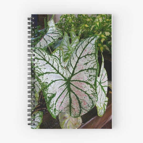 Item preview, Butterfly Beauty Leaf designed and sold by MarianBendeth.