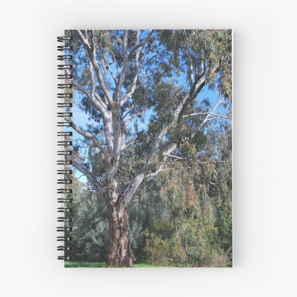 Item preview, Eucalyptus Tree in Winter Light designed and sold by Lorraine McCarthy.
