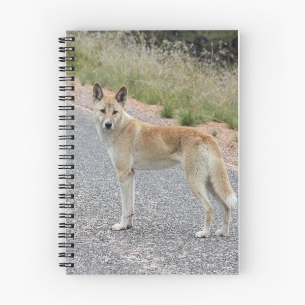 Item preview, Dingo designed and sold by Norman Mueller.