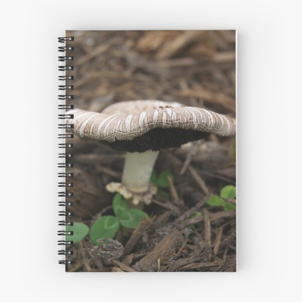 Artikelvorschau, mushroom standing tall entworfen und verkauft von rue2.