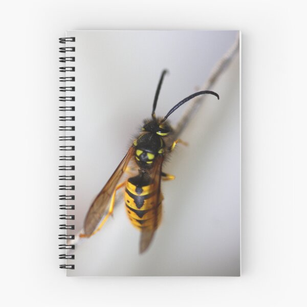 Item preview, "The Sting ...!" designed and sold by Rosehaven.