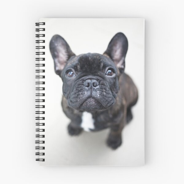 Item preview, French Bulldog Puppy designed and sold by ManwithaCamera.
