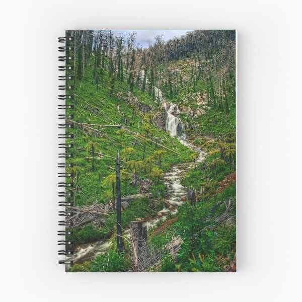 Aperçu de l'œuvre Steavensons Falls # 2 créée et vendue par JasonGreen.