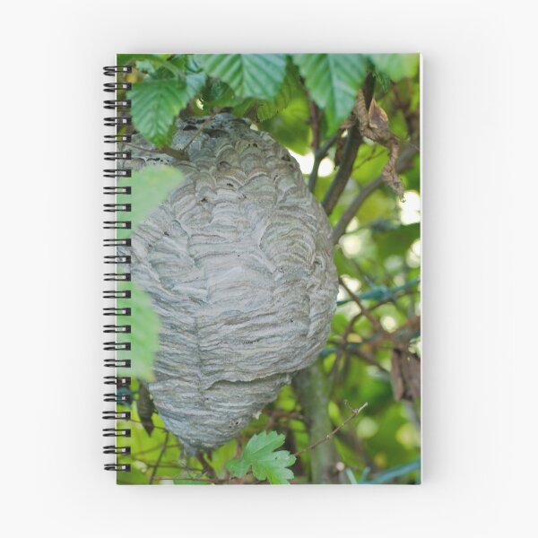 Item preview, Made by Nature (Wasp Nest) designed and sold by Sue Knowles.