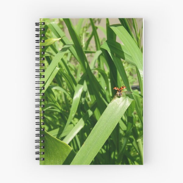 Artikelvorschau, Lady bug Lady bug, fly away home entworfen und verkauft von elsha.
