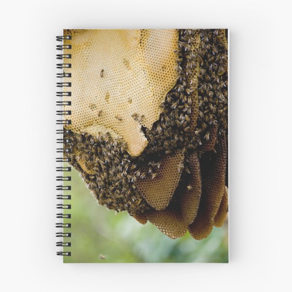 Item preview, A wild bee-hive designed and sold by Mark Elshout.