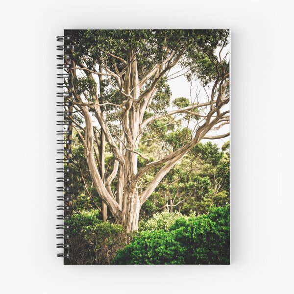 Item preview, Faraway Tree designed and sold by catrionam.
