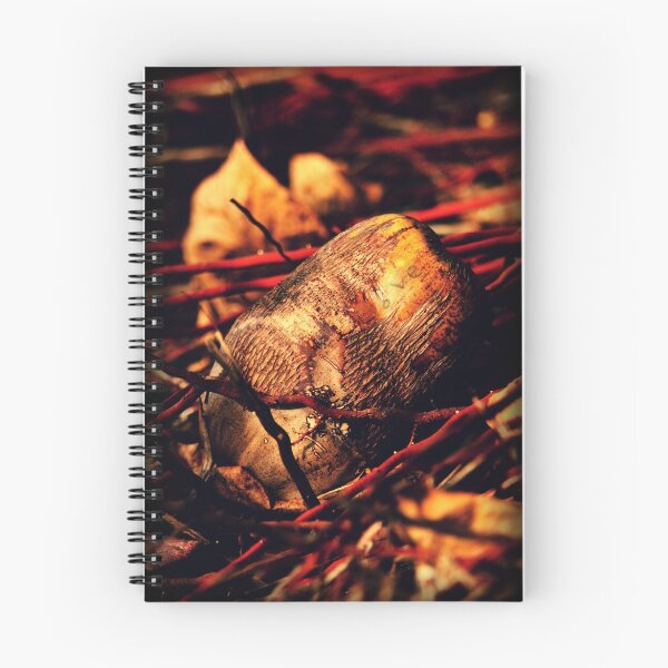 Item preview, Finding love in less obvious places  designed and sold by maybememories.